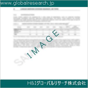 グローバルリサーチ調査資料のイメージ